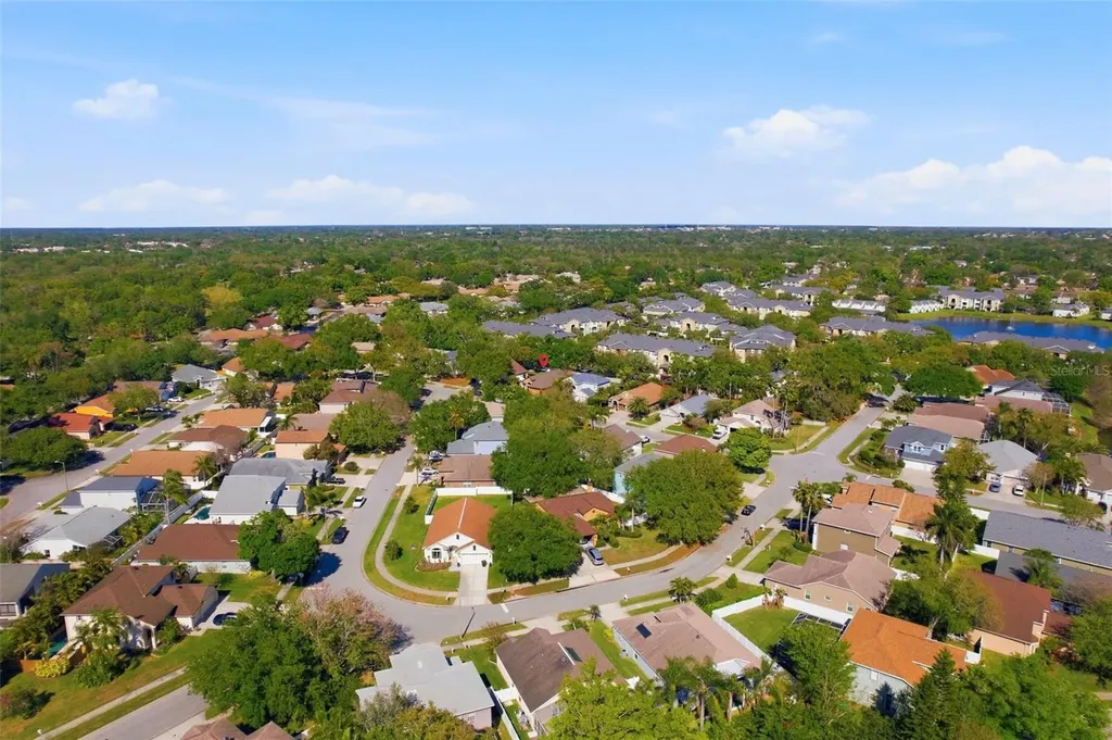 1240 Bluffs Circle Dunedin FL 34698