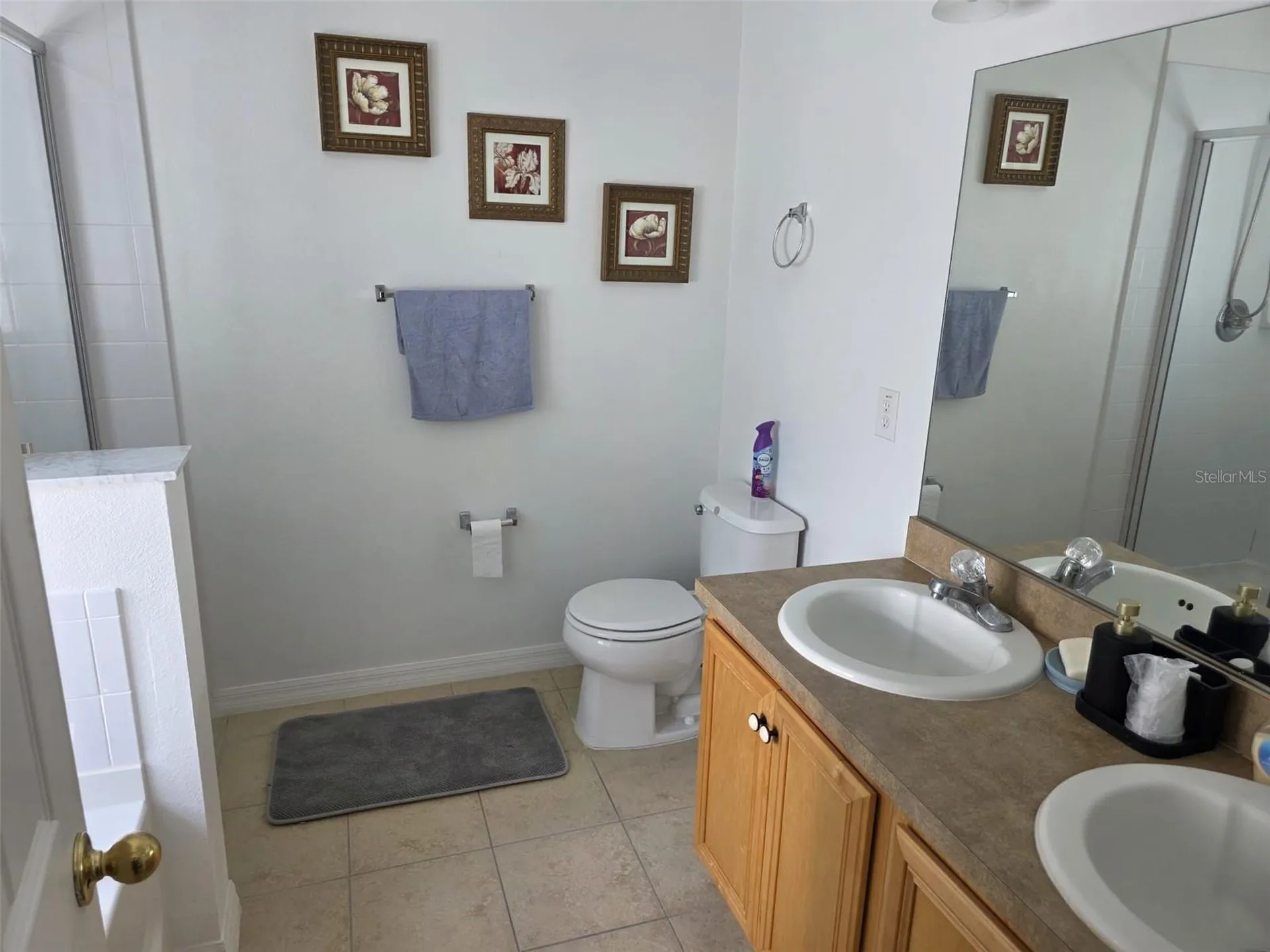 5160 Ambergris Loop Kissimmee FL 34746