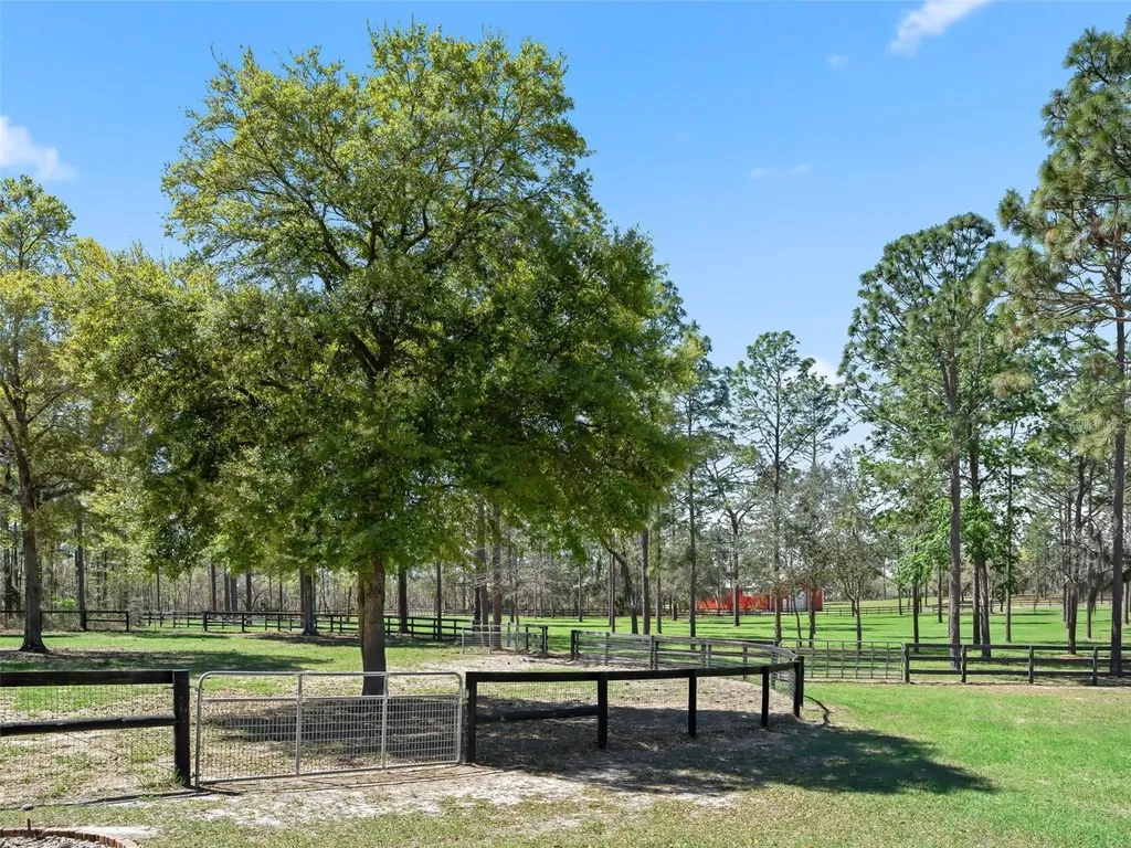 11370 SE 12th Lane Morriston FL 32668