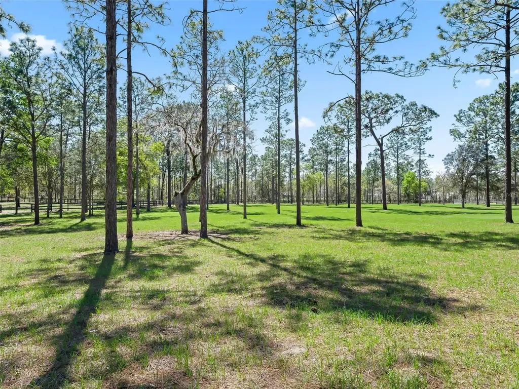 11370 SE 12th Lane Morriston FL 32668