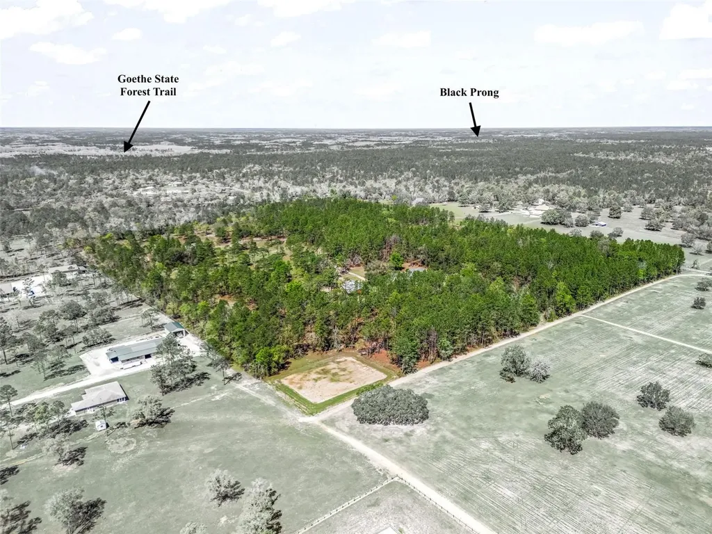 11370 SE 12th Lane Morriston FL 32668