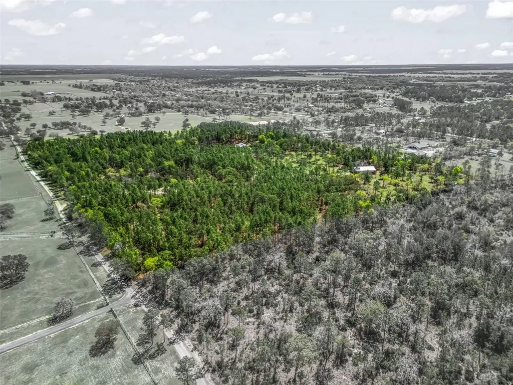 11370 SE 12th Lane Morriston FL 32668