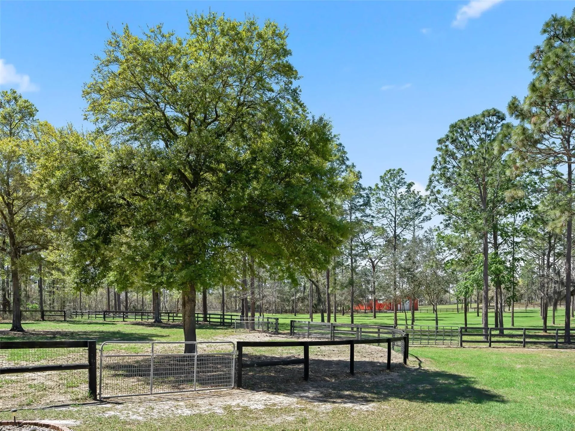 11370 SE 12th Lane Morriston FL 32668
