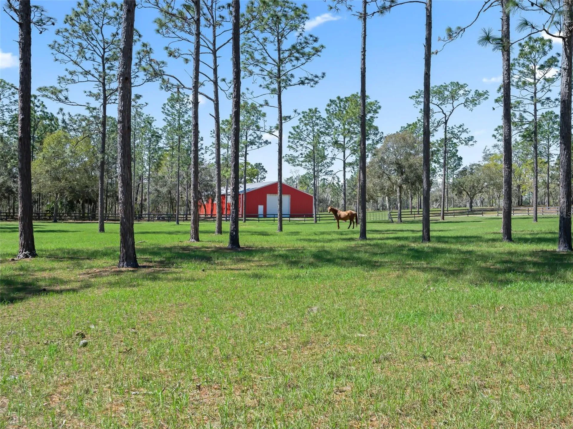 11370 SE 12th Lane Morriston FL 32668