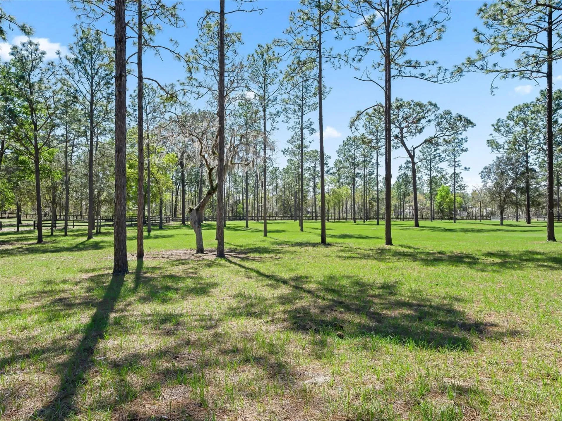 11370 SE 12th Lane Morriston FL 32668