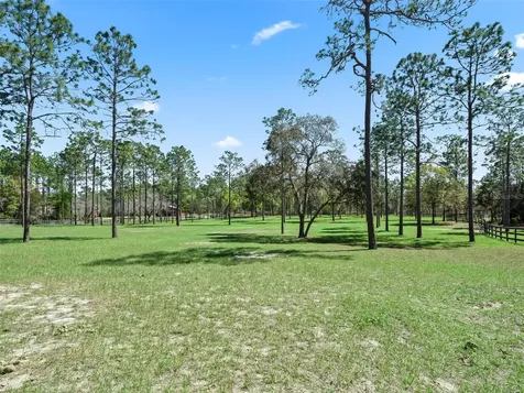11370 SE 12th Lane Morriston FL 32668
