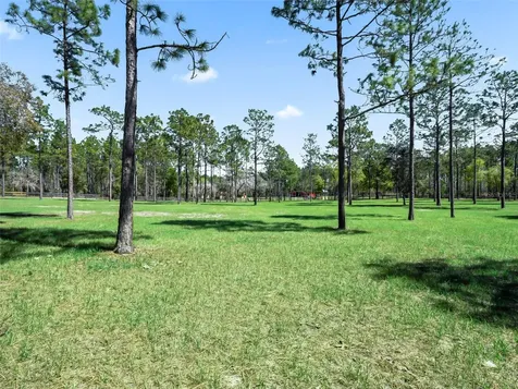 11370 SE 12th Lane Morriston FL 32668
