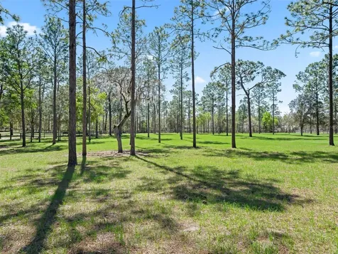 11370 SE 12th Lane Morriston FL 32668