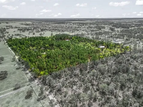11370 SE 12th Lane Morriston FL 32668