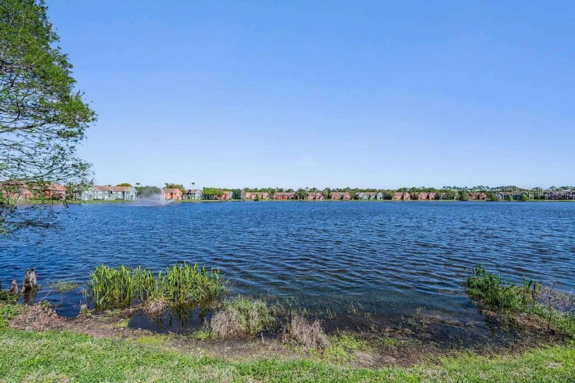 9552 Lake Chase Island Way Tampa FL 33626