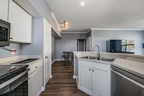 9552 Lake Chase Island Way Tampa FL 33626