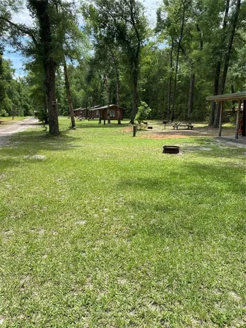 8587 SW Elim Church Road Fort White FL 32038