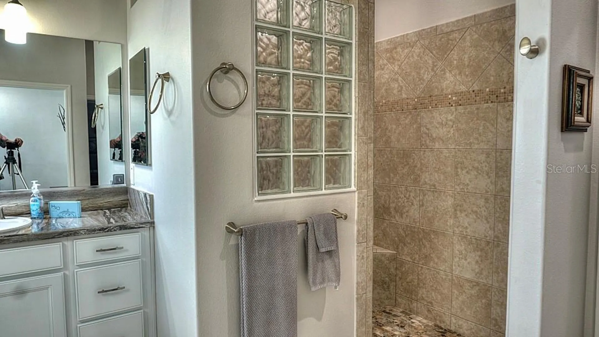 4362 Watch Hill Street The Villages FL 32163