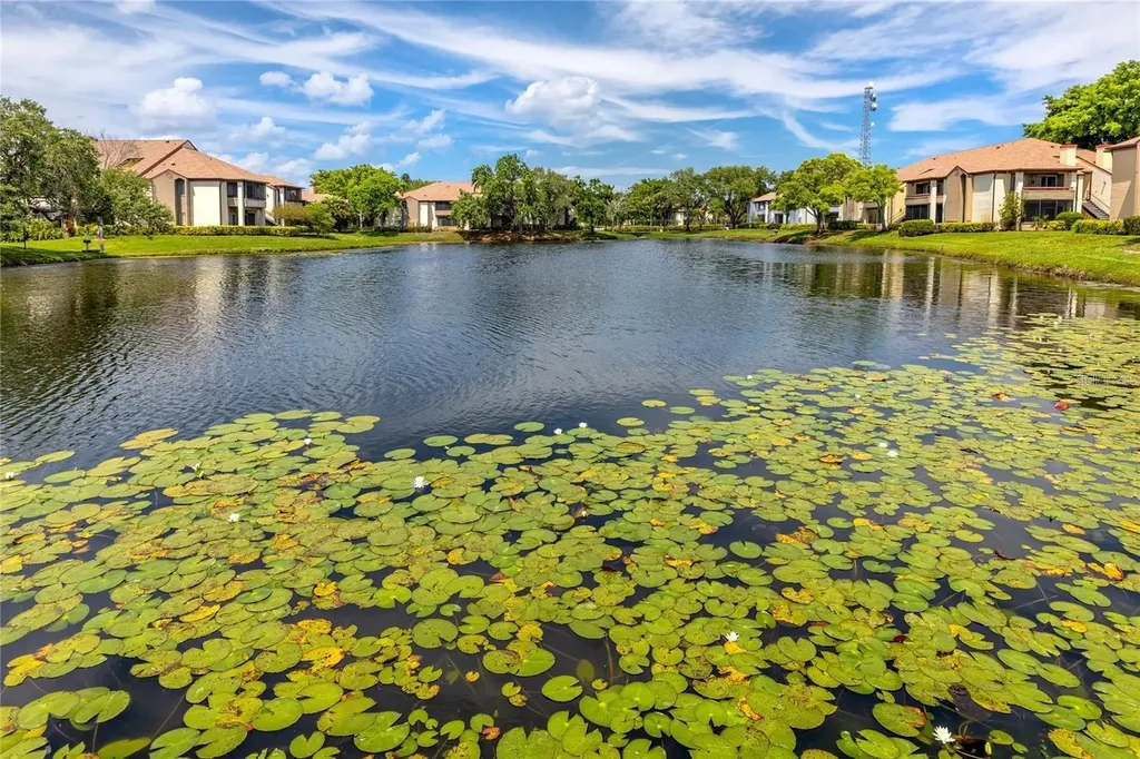 10265 Gandy Boulevard N St Petersburg FL 33702