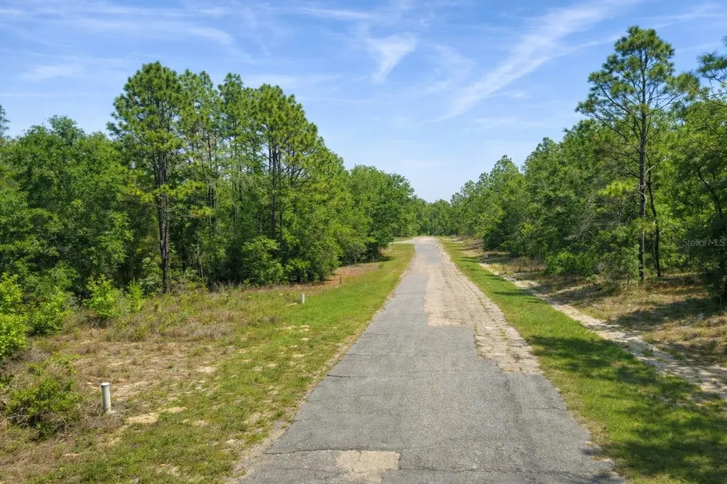 11328 N Cathy Terrace Dunnellon FL 34434