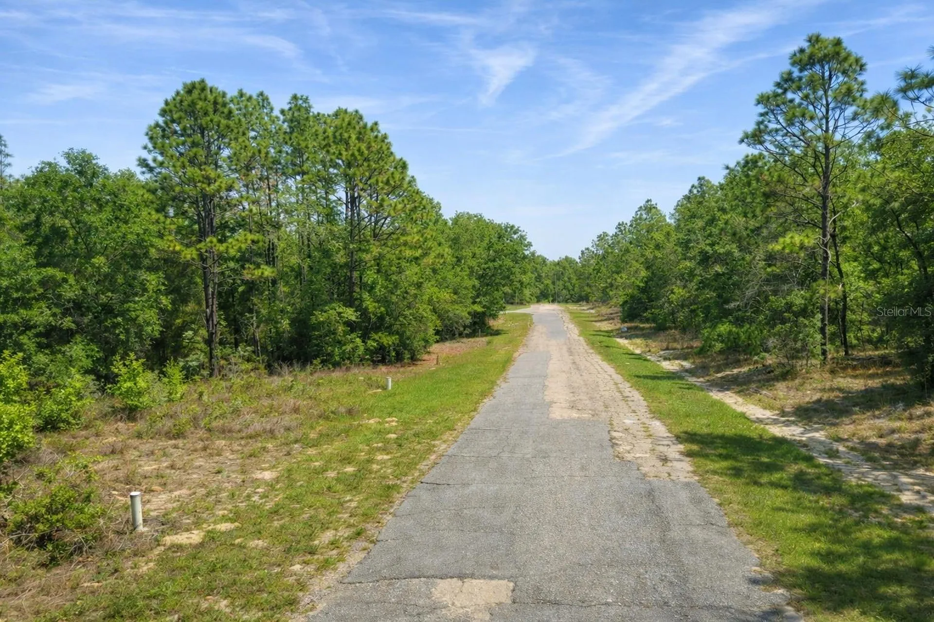 11328 N Cathy Terrace Dunnellon FL 34434