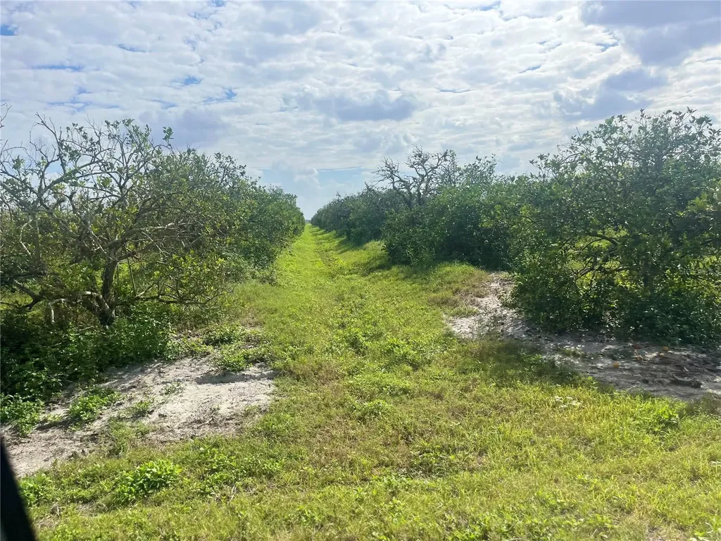 NE Highway 70 Arcadia FL 34266