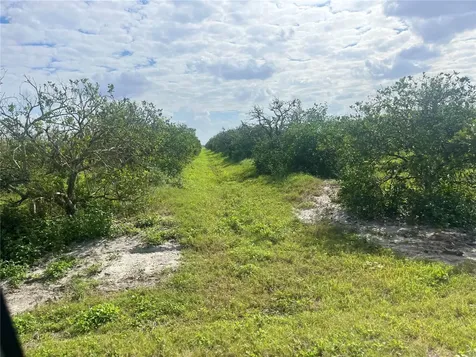NE Highway 70 Arcadia FL 34266