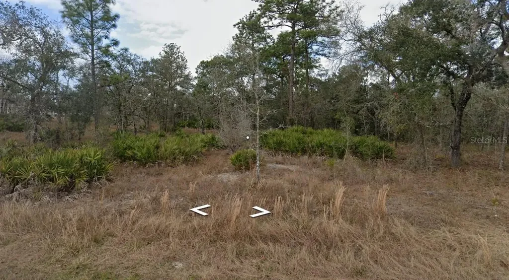 11353 Quill Avenue Brooksville FL 34614