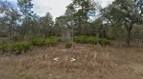 11353 Quill Avenue Brooksville FL 34614