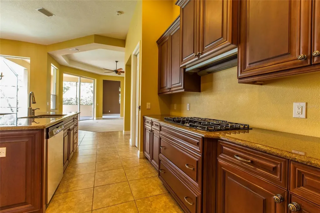 20003 Ryman Place Tampa FL 33647