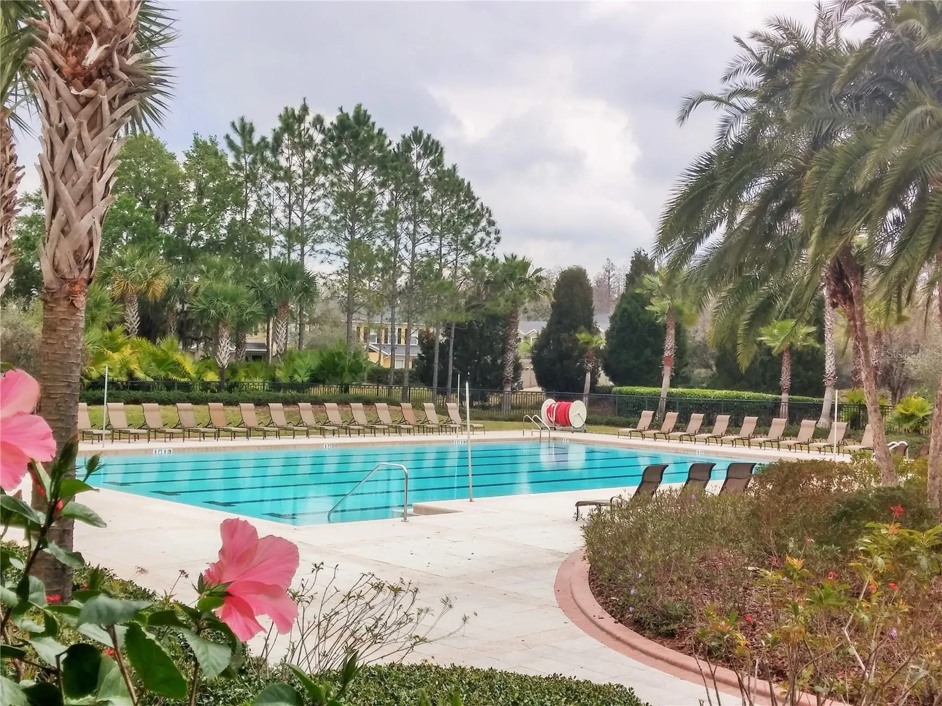 20003 Ryman Place Tampa FL 33647