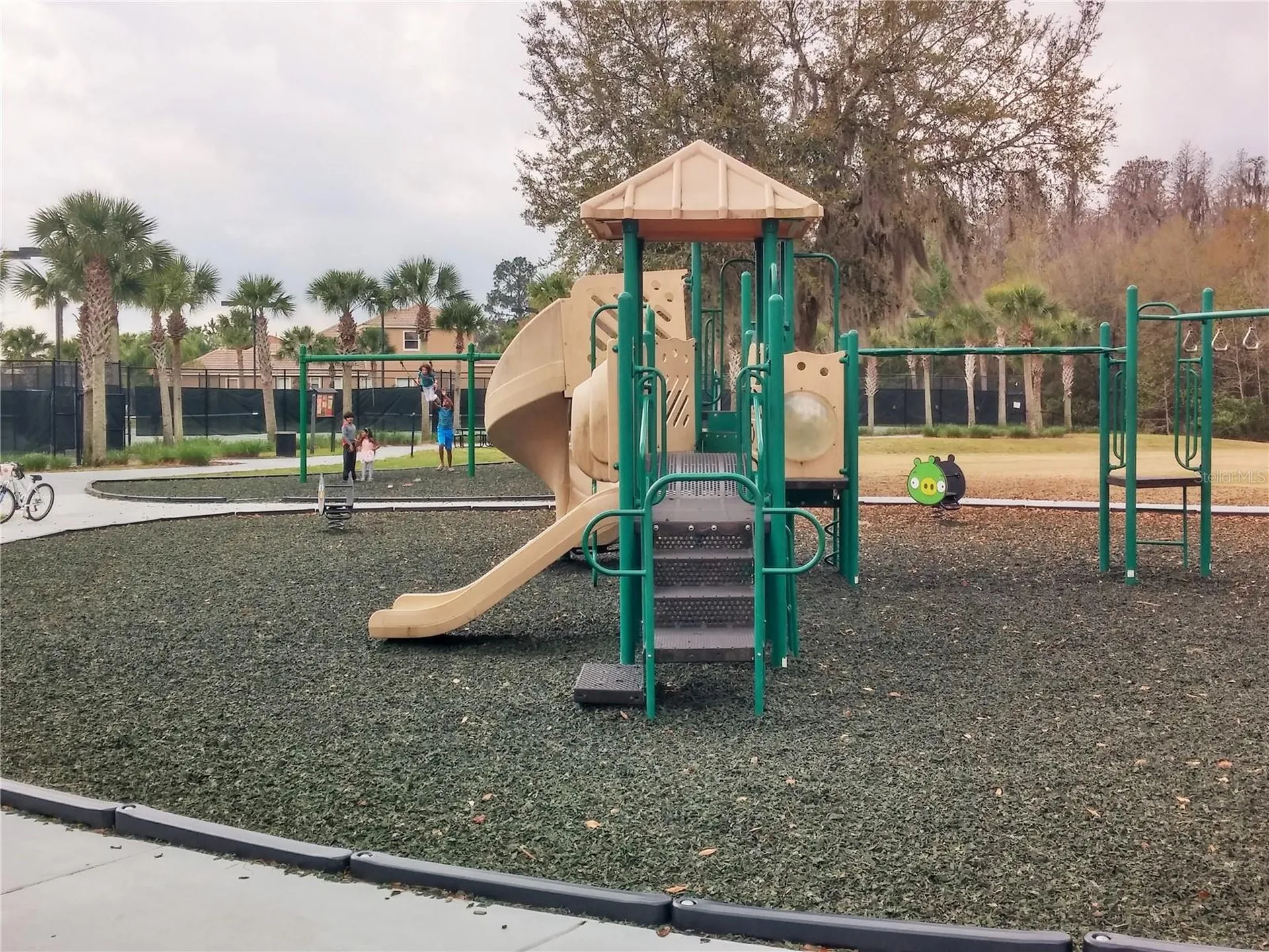 20003 Ryman Place Tampa FL 33647