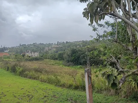Caguas PR 00727