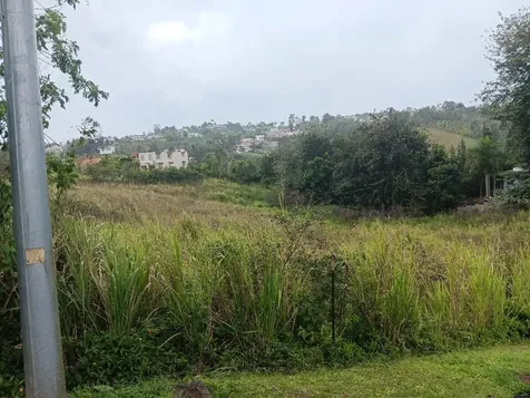 Caguas PR 00727