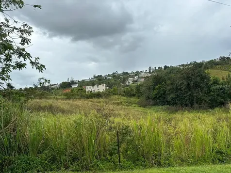 Caguas PR 00727
