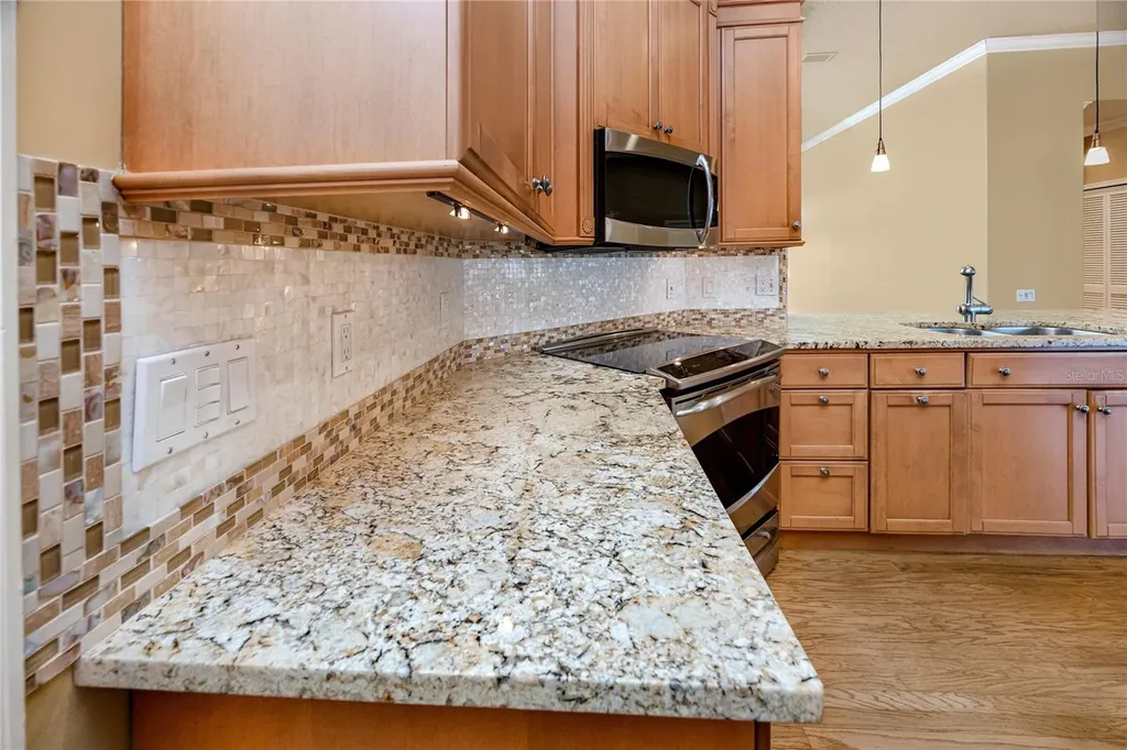 1471 Briargrove Way Oldsmar FL 34677