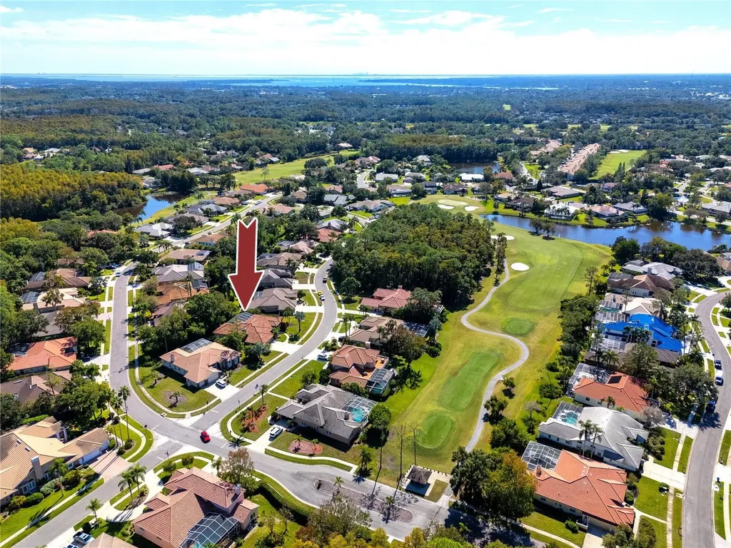 1471 Briargrove Way Oldsmar FL 34677