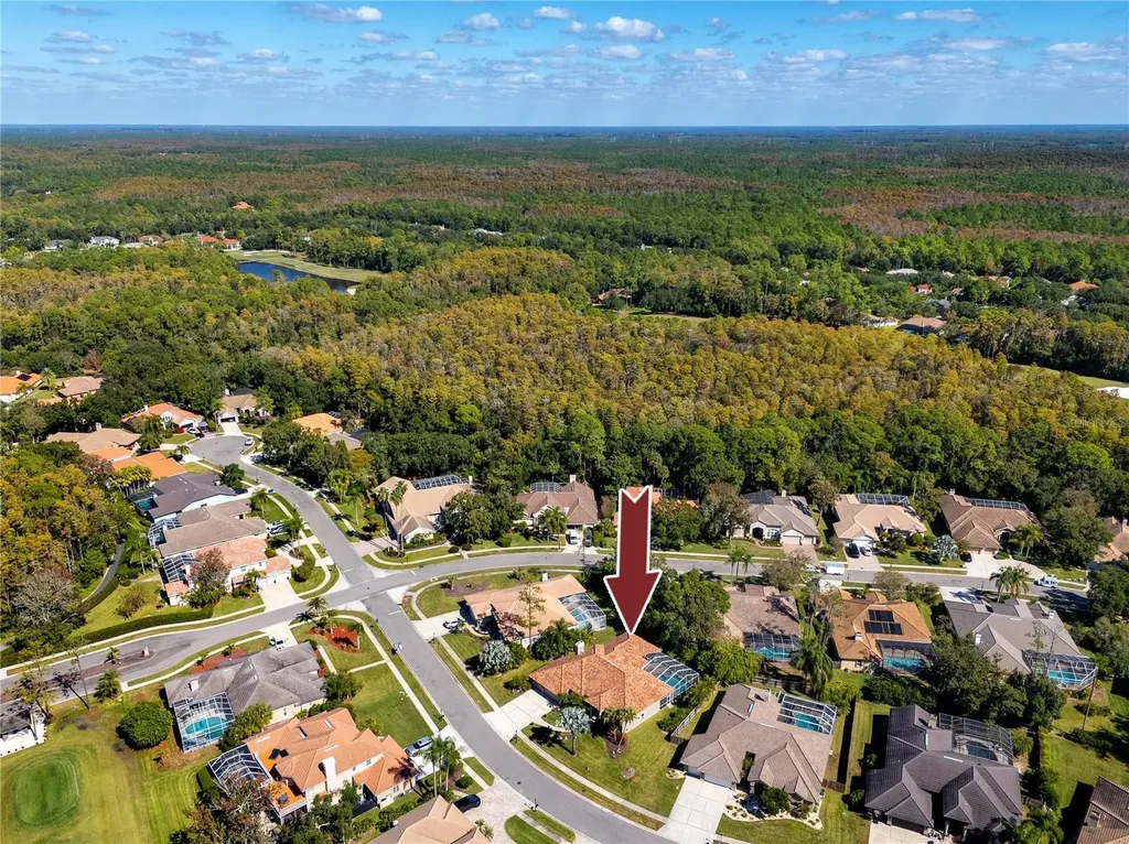 1471 Briargrove Way Oldsmar FL 34677