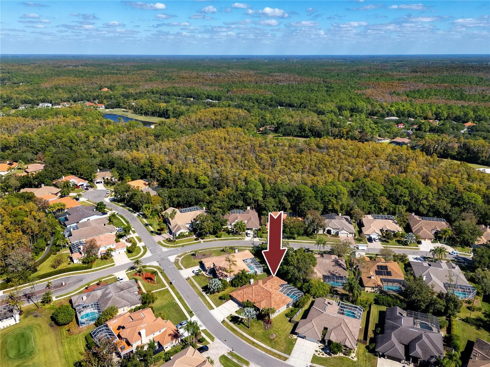 1471 Briargrove Way Oldsmar FL 34677
