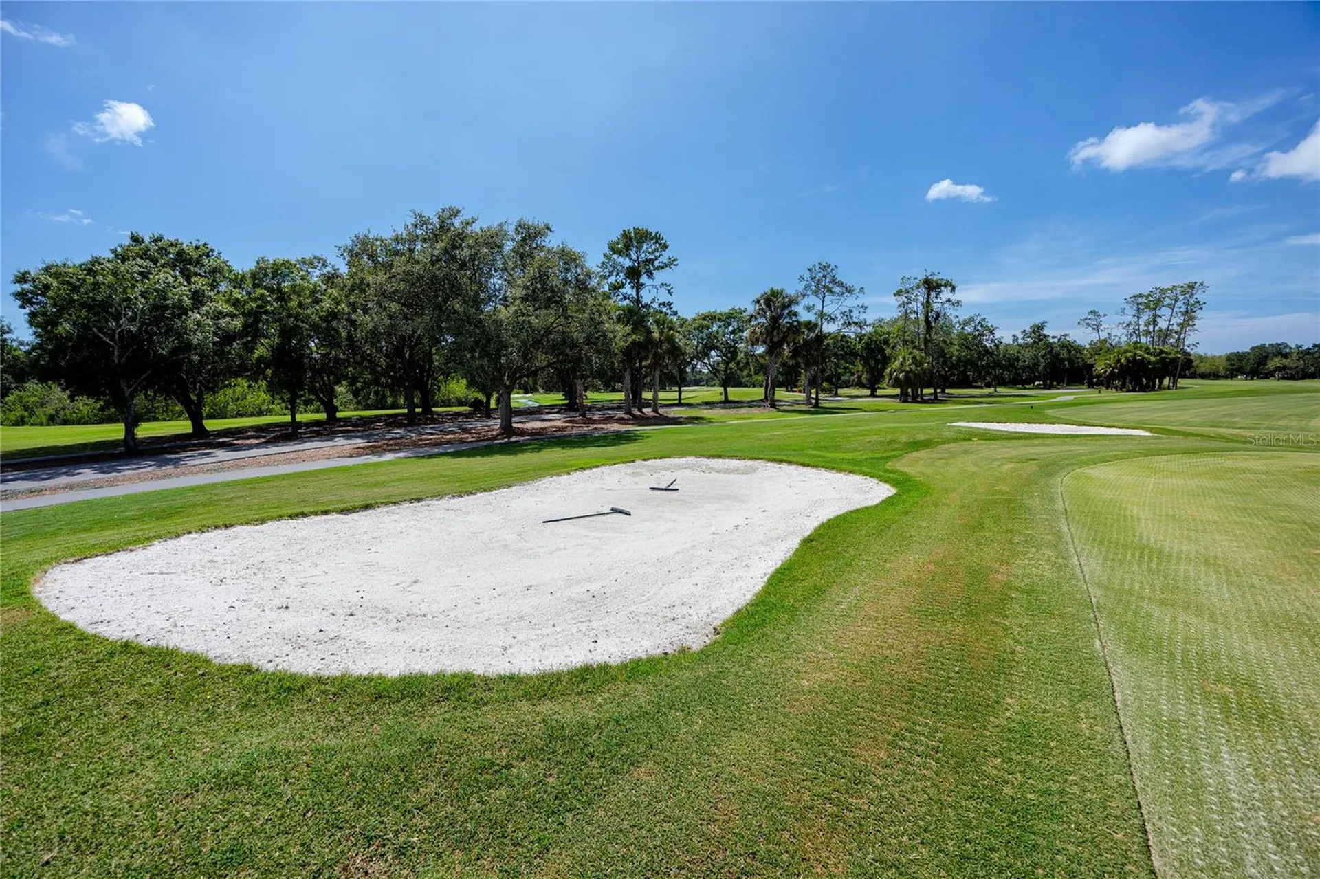 1471 Briargrove Way Oldsmar FL 34677
