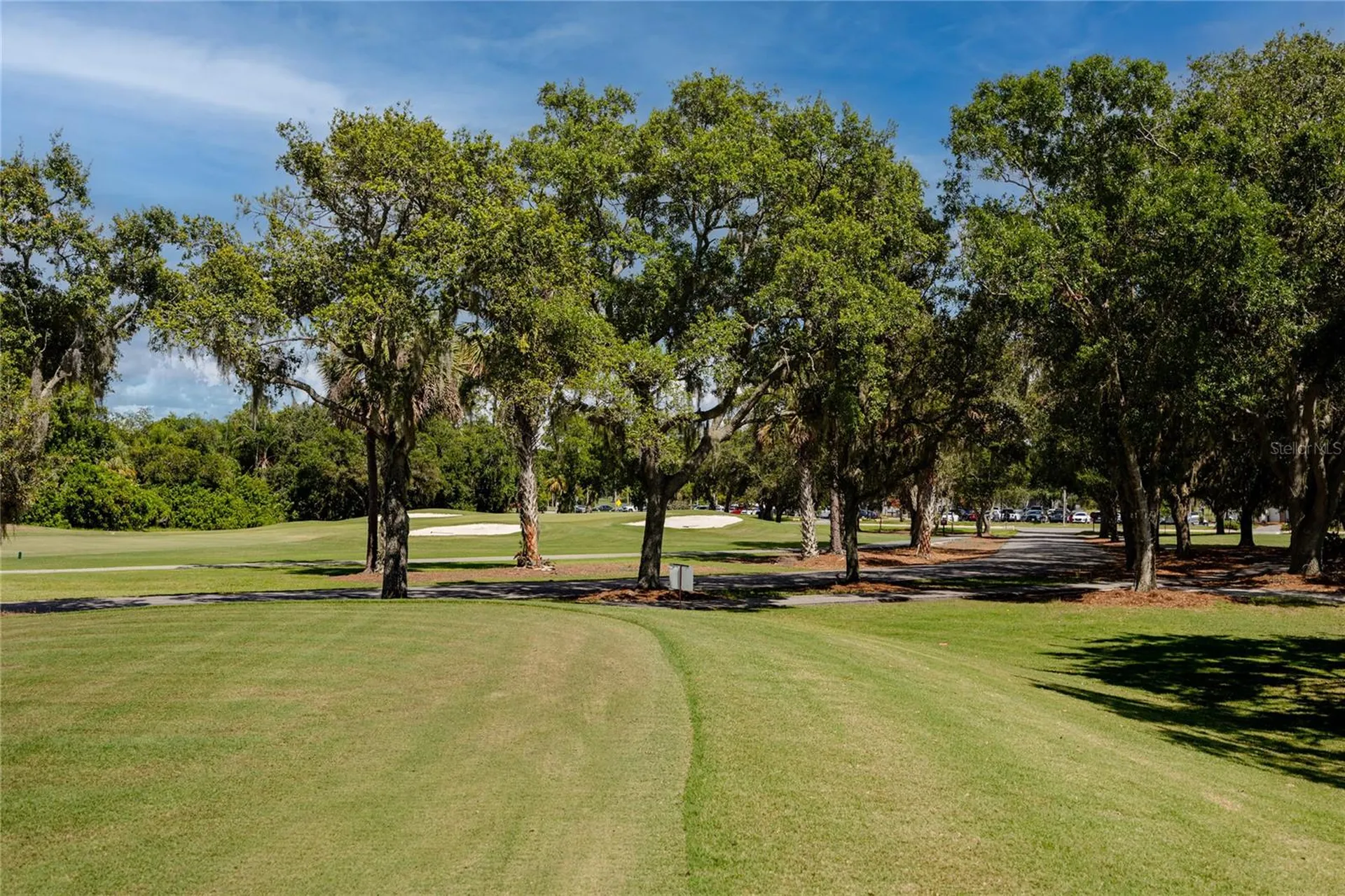 1471 Briargrove Way Oldsmar FL 34677