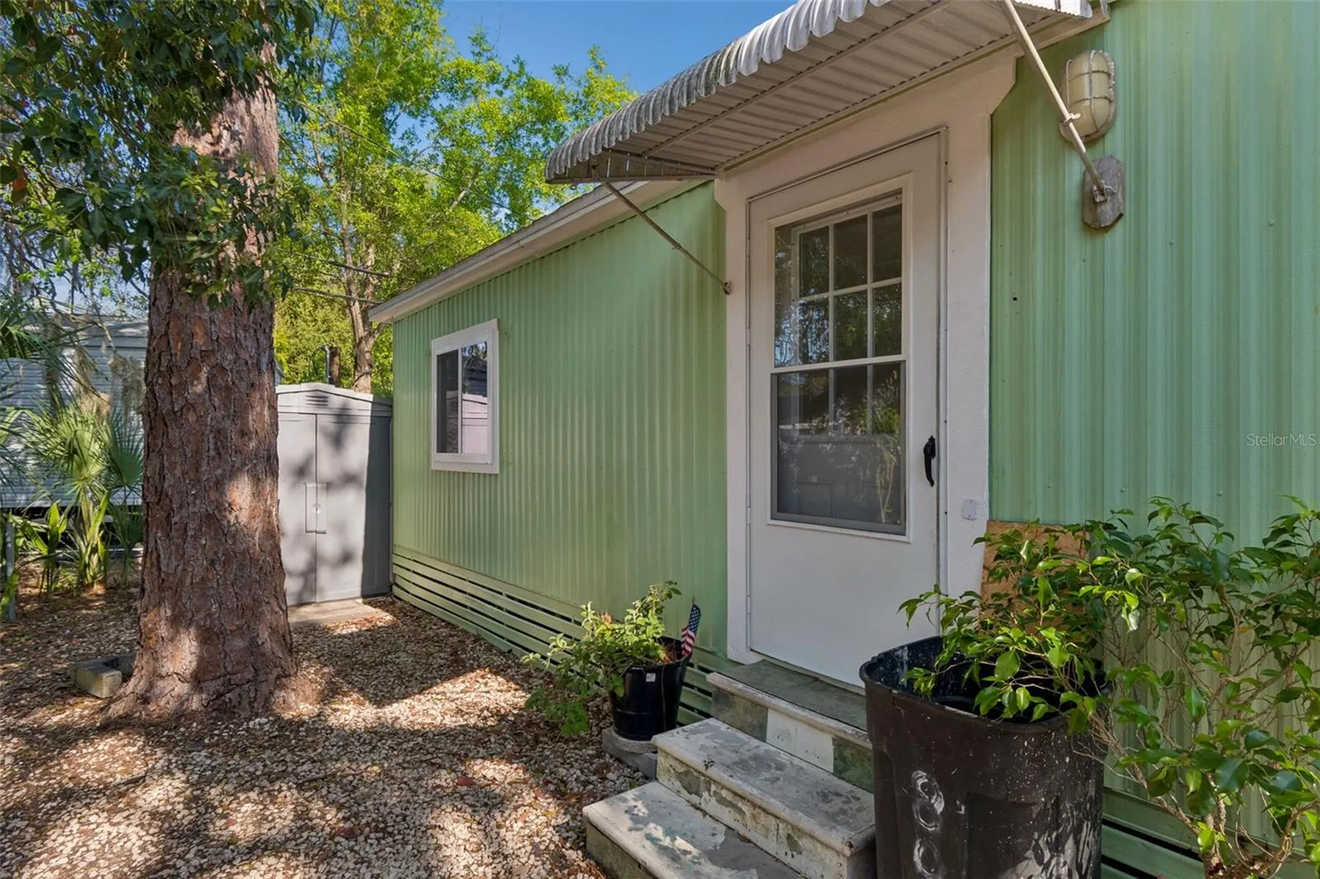 823 Elkan Drive Tarpon Springs FL 34689