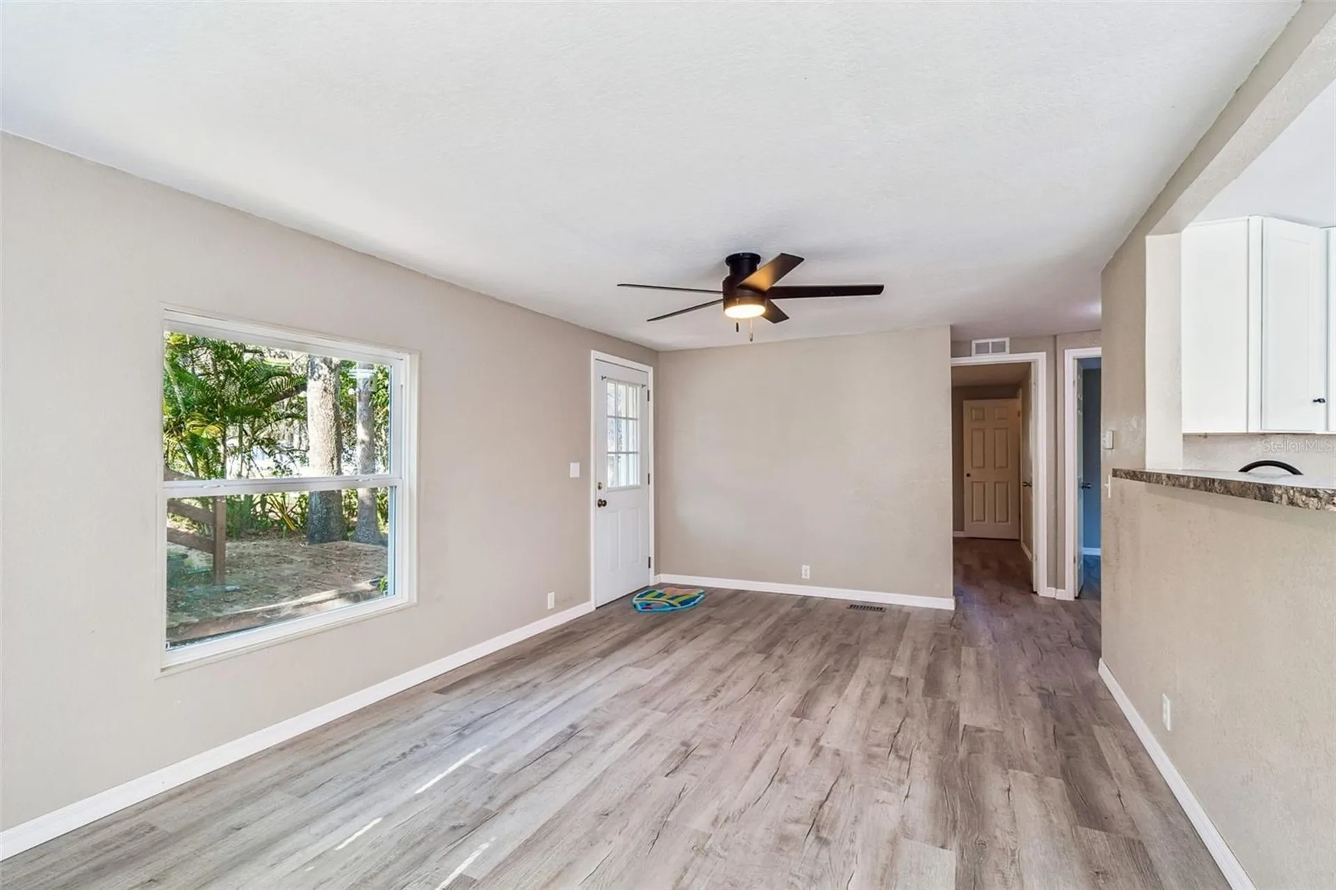823 Elkan Drive Tarpon Springs FL 34689