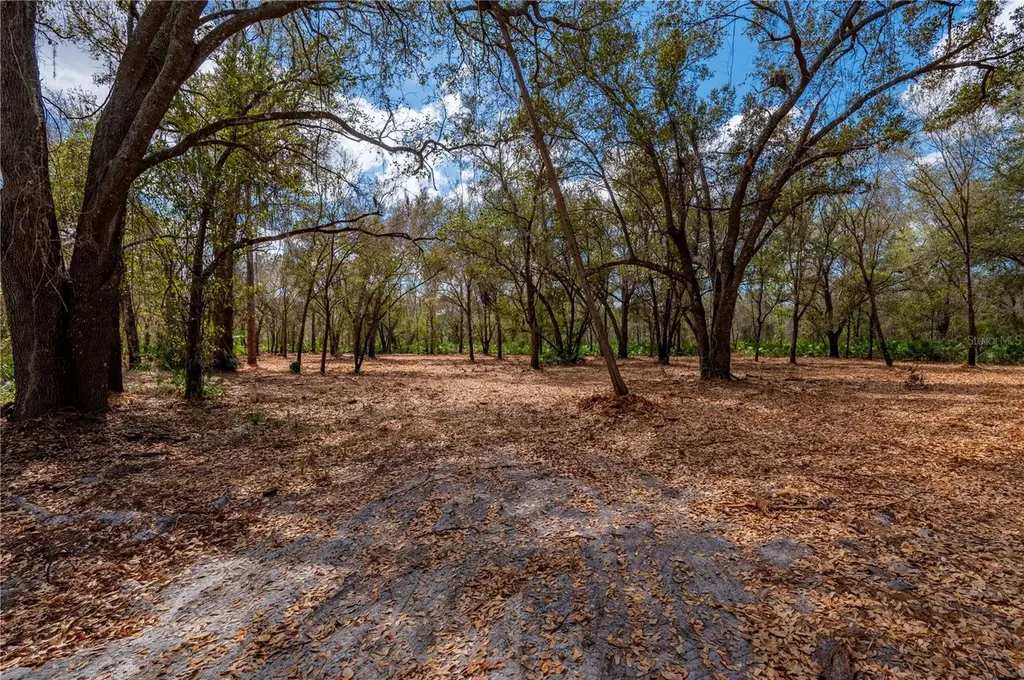 SE Highway 31 Arcadia FL 34266
