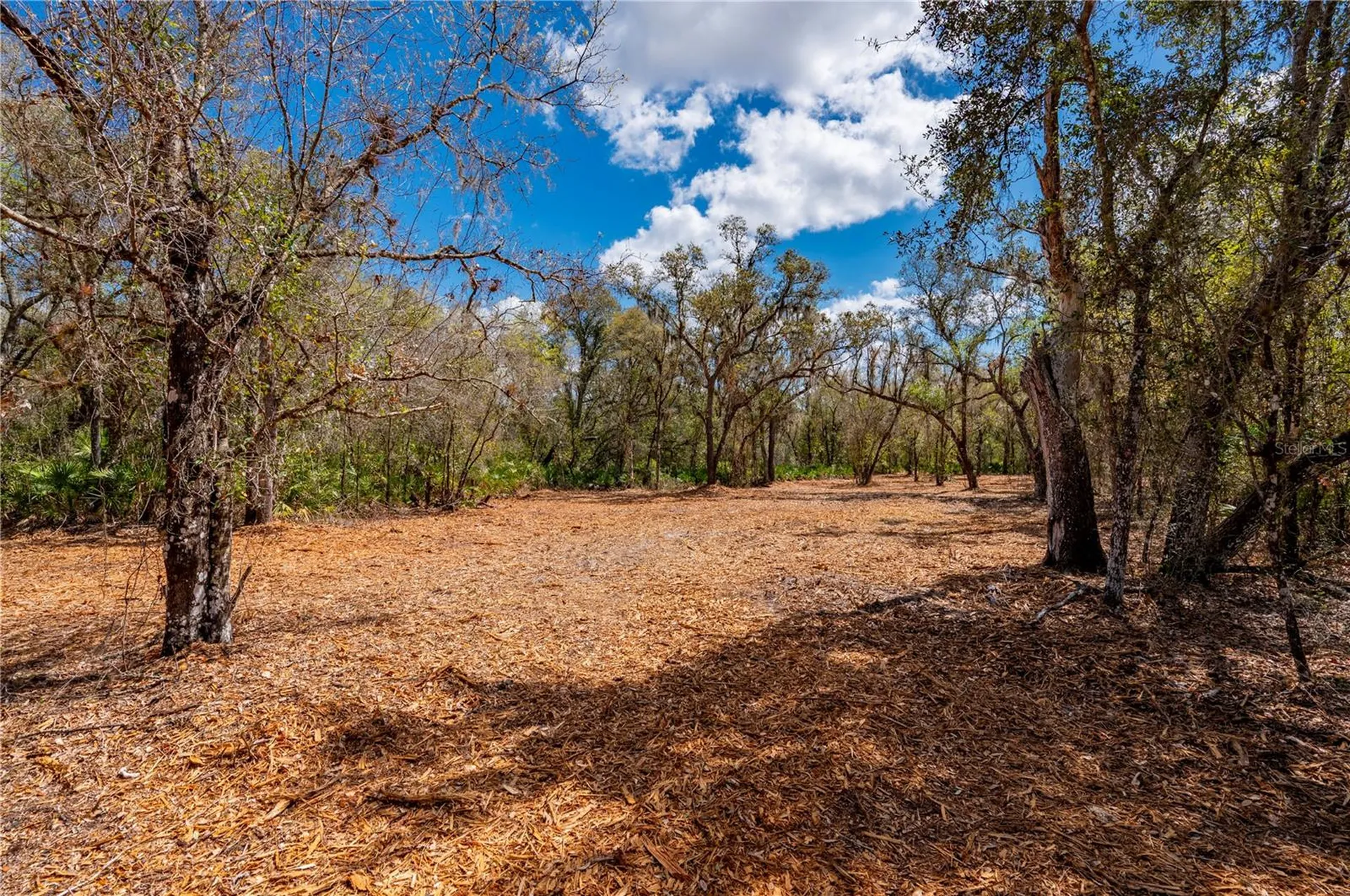 SE Highway 31 Arcadia FL 34266