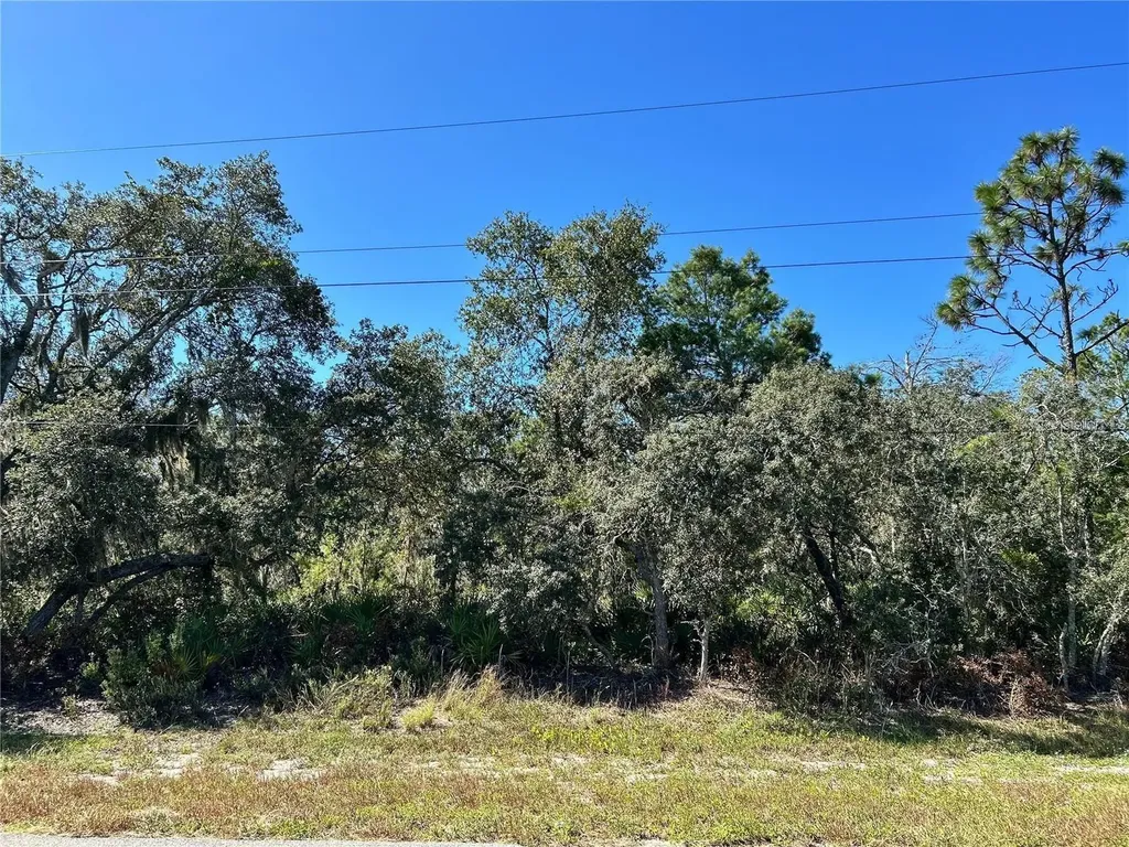 Woodstork Way Frostproof FL 33843