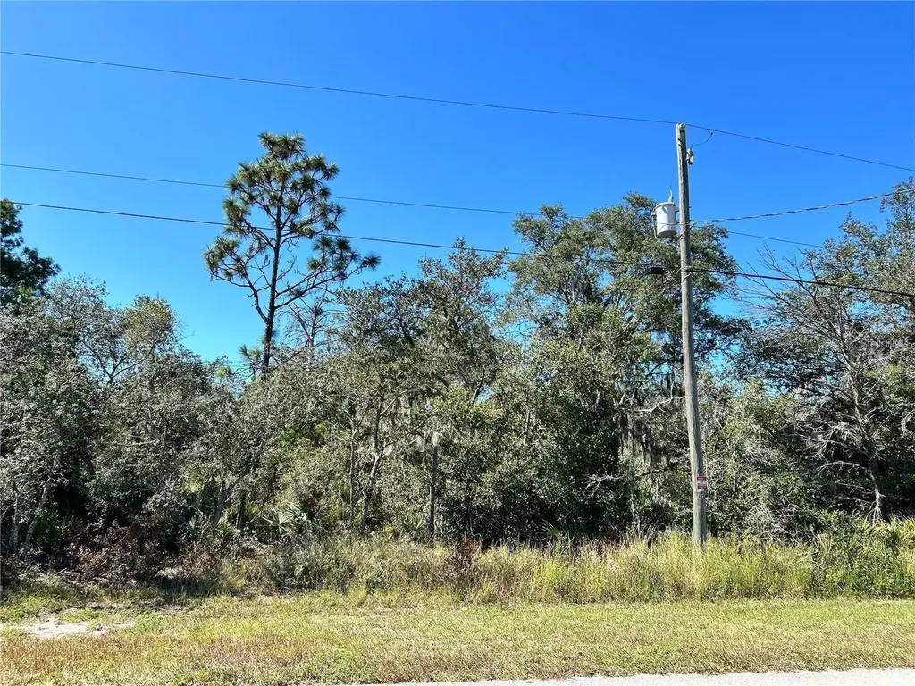 Woodstork Way Frostproof FL 33843