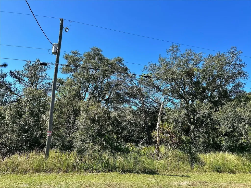 Woodstork Way Frostproof FL 33843