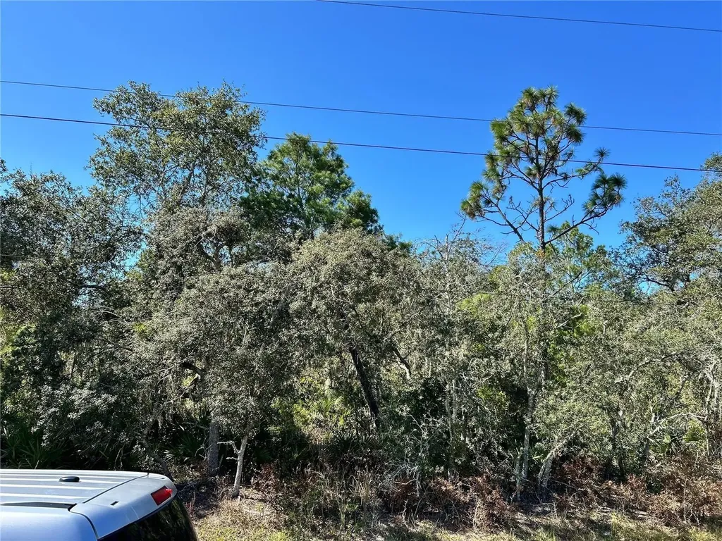 Woodstork Way Frostproof FL 33843