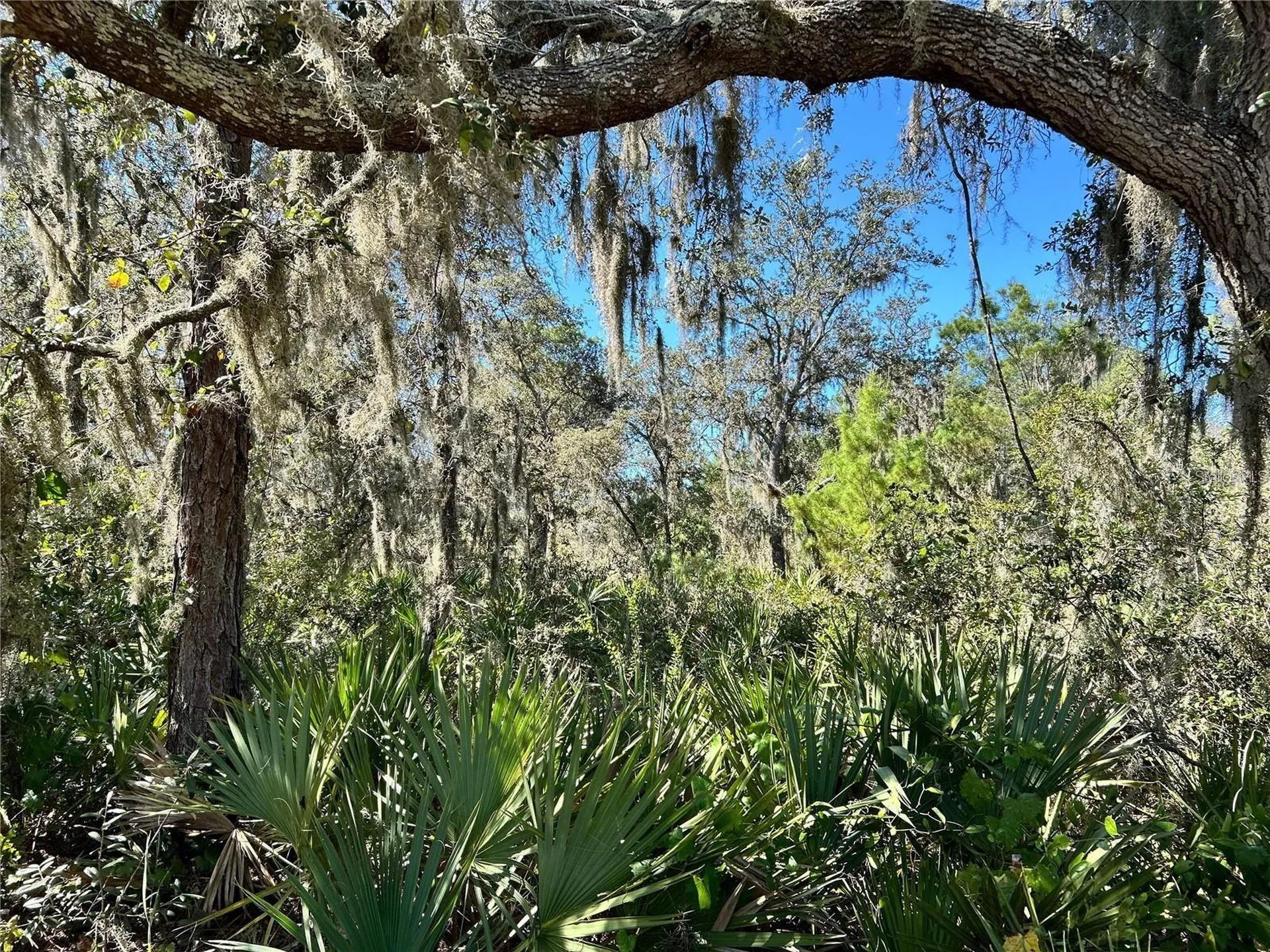 Woodstork Way Frostproof FL 33843