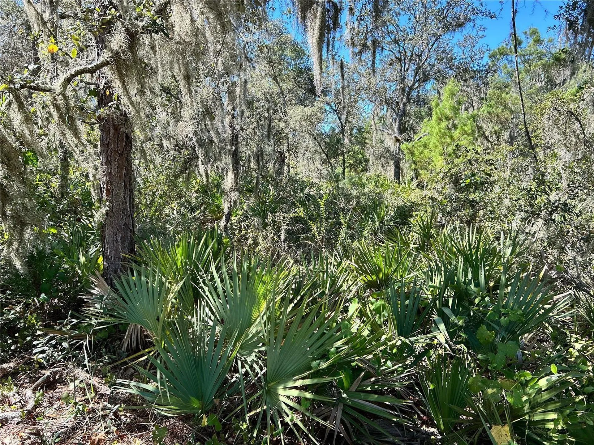 Woodstork Way Frostproof FL 33843