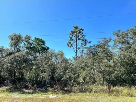 Woodstork Way Frostproof FL 33843