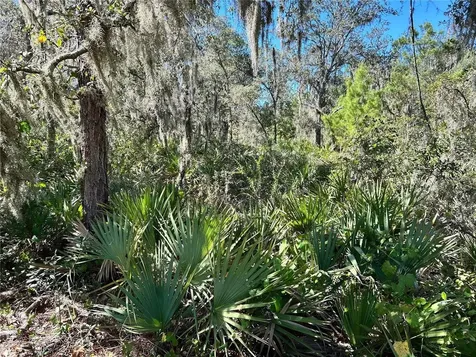 Woodstork Way Frostproof FL 33843