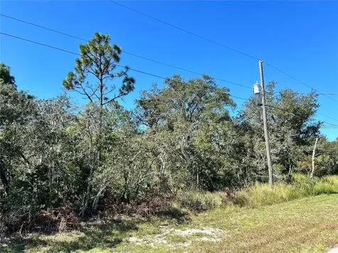 Woodstork Way Frostproof FL 33843