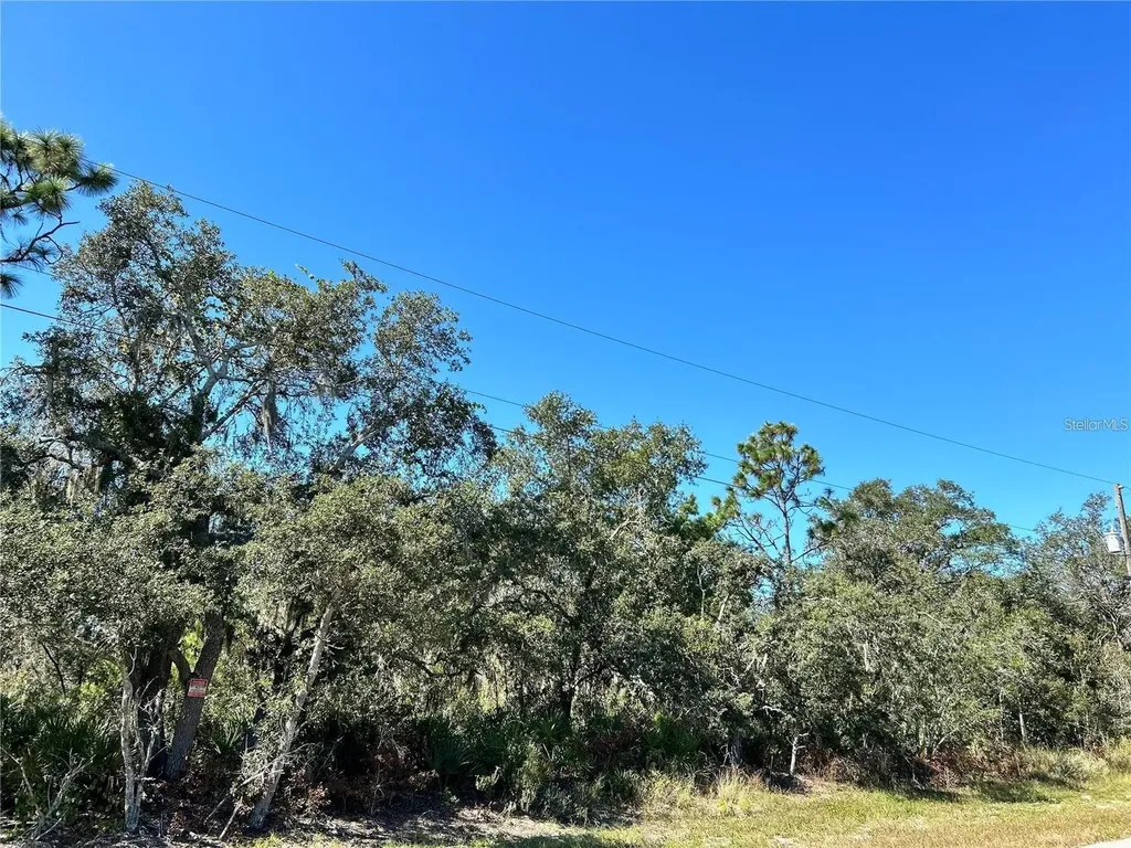 Woodstork Way Frostproof FL 33843